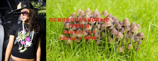 бутират Кукмор