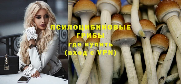 шишки Волгодонск
