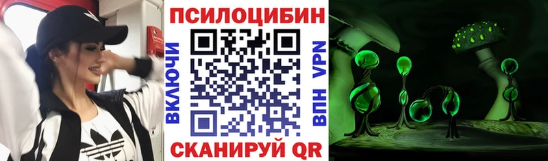 Галлюциногенные грибы Psilocybine cubensis  Правдинск 