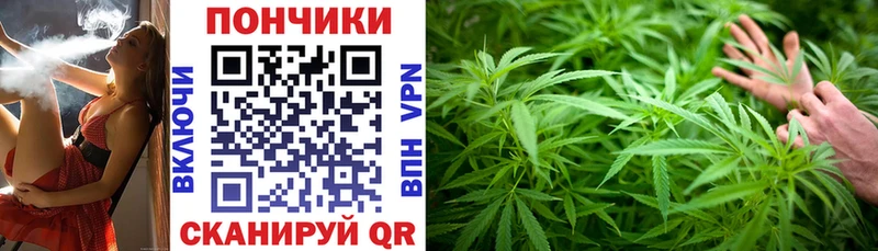Марихуана марихуана  Правдинск 
